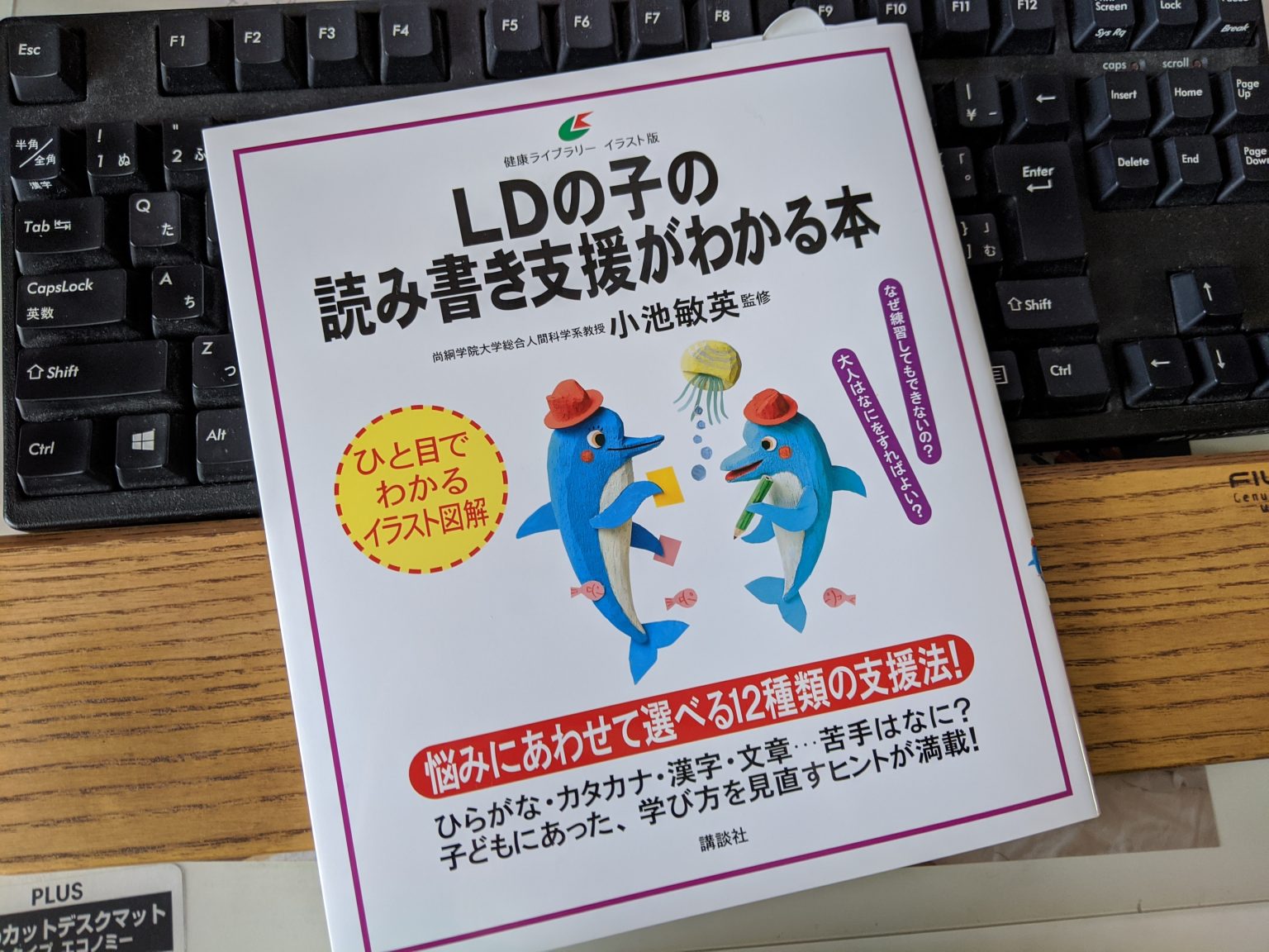 LDの子の読み書き支援がわかる本
