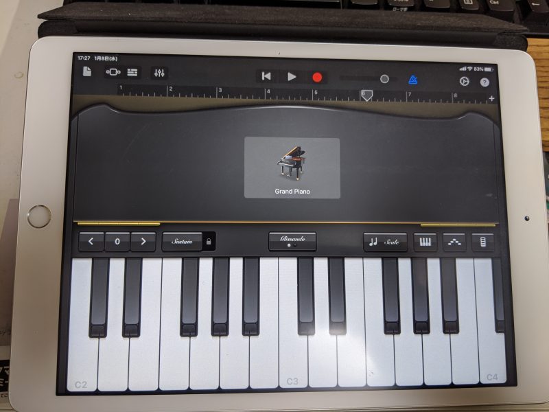 iPad