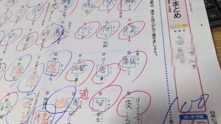 漢字50問テスト 学習障害むすこ 空気は読むが字は読めない