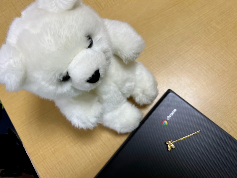 むすめのchromebookとくまさん