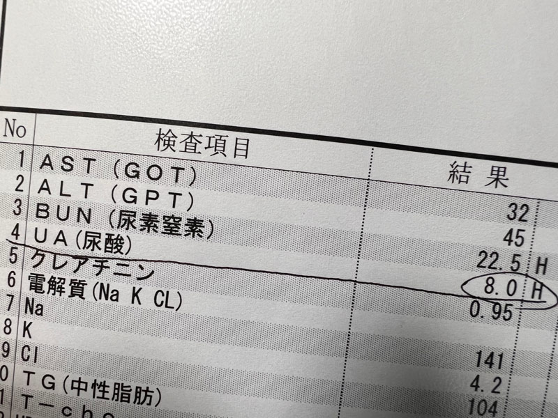血液検査結果