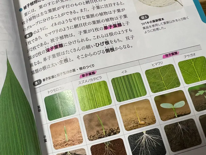 中1理科教科書